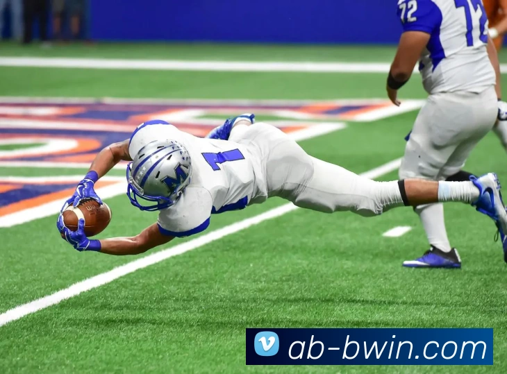 BWIN官网平台生态图